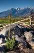 Northern Nevada V...