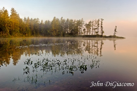 Osgood Pond