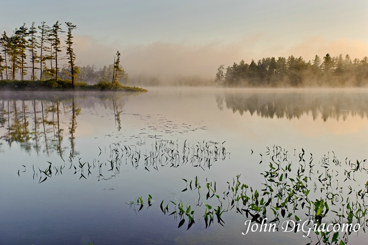 Osgood Pond