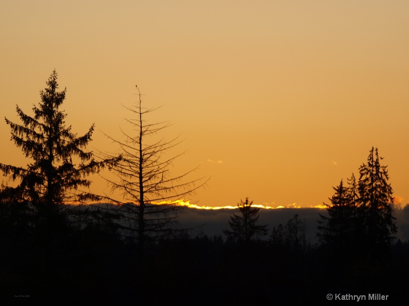 Sunset On Camano Island