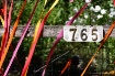 765