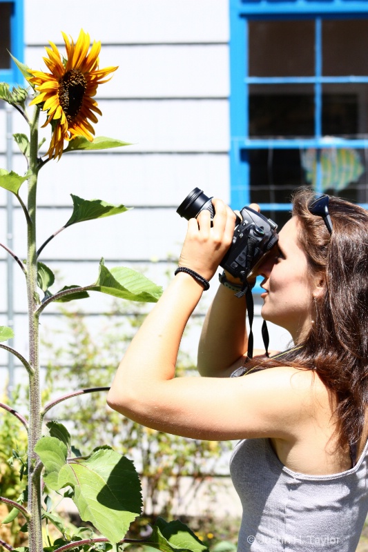 Flowers & Cameras