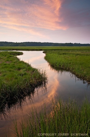 Twilight - Rye Marsh