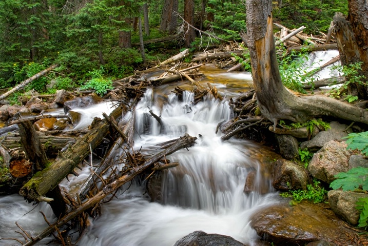 Wilderness Stream