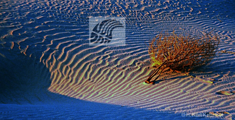sanddune14shadow - ID: 10496395 © Kurt Kettelhut