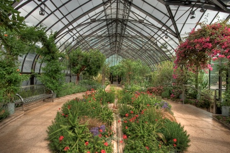 Longwood's Mediterranean Greenhouse
