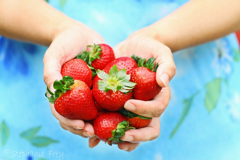 Strawberry Offerings