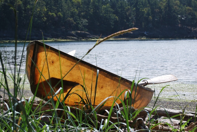 Beached Beauty