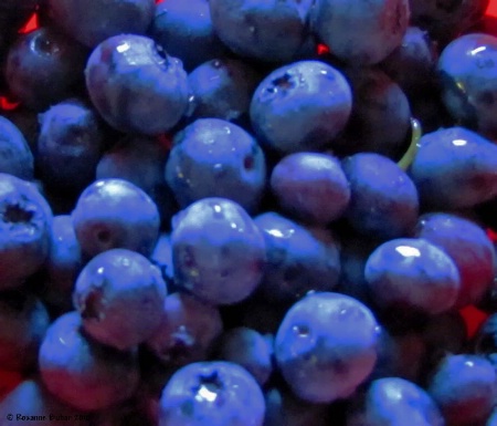 Maine Blueberries Are The Best 