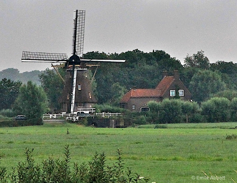 Rural Netherlands  - ID: 10511467 © Emile Abbott