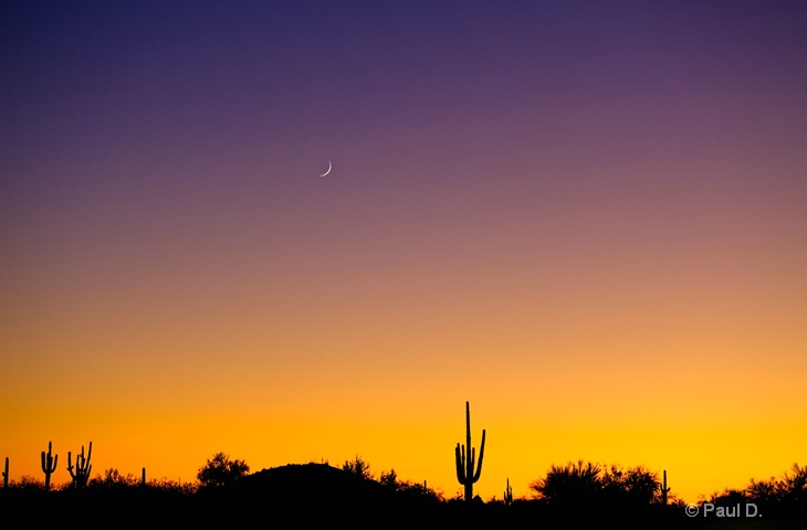 Day's End, Arizona 