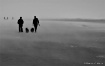 Out of the Mists