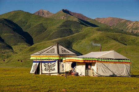 Festival Tents