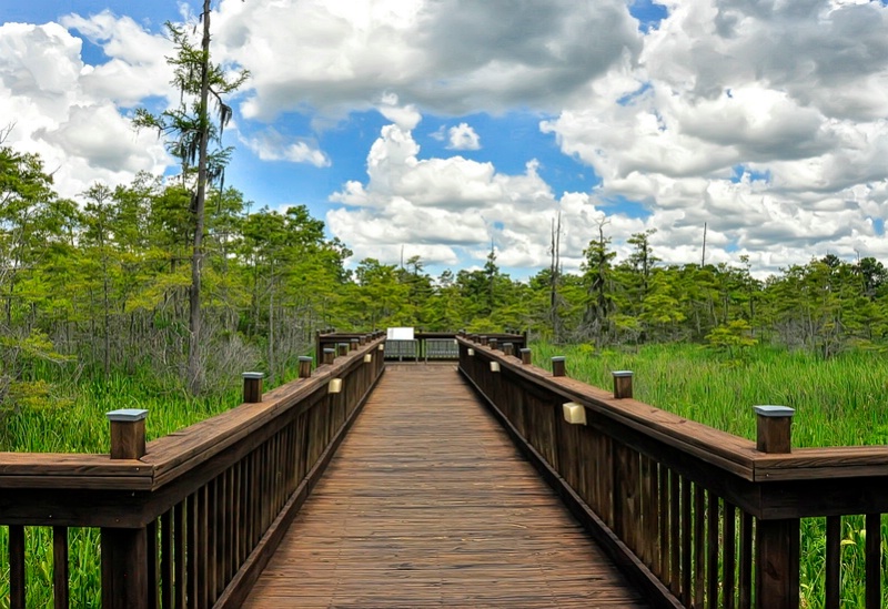 Texas Visitor's Center Nature Walk