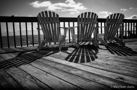 Shadows Near the Sea