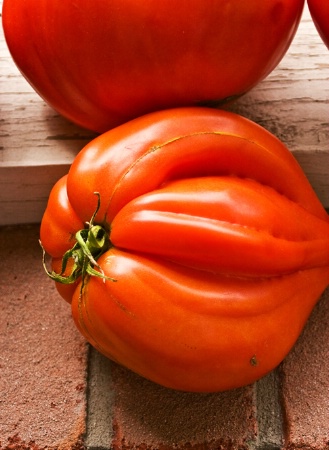 ~ Beefheart tomato ~