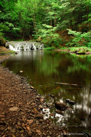 'Little Carp River'