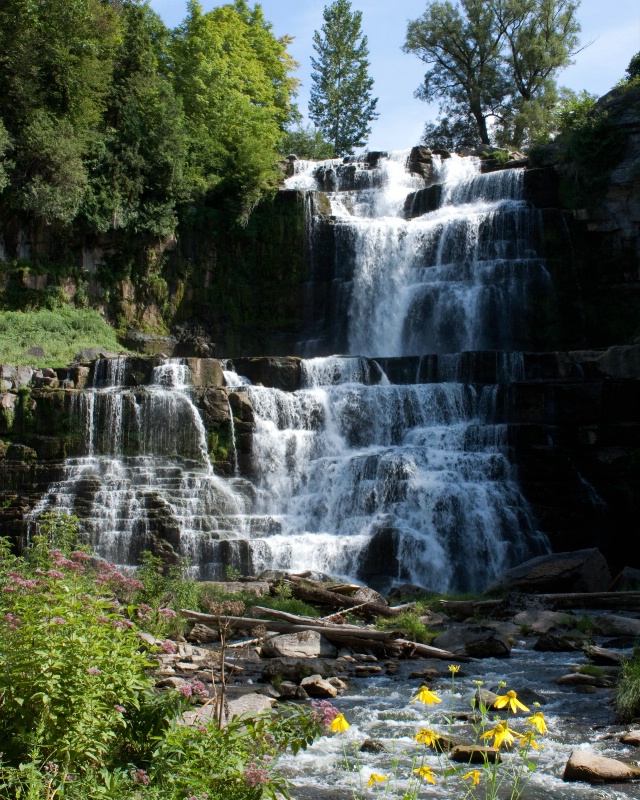 Chittenango Falls vertical