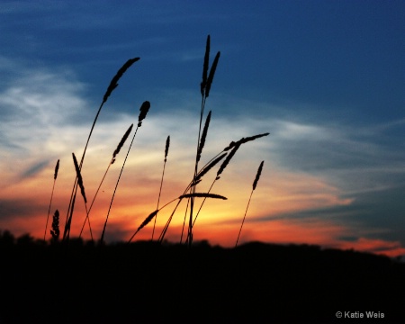 Silhouette Sunset