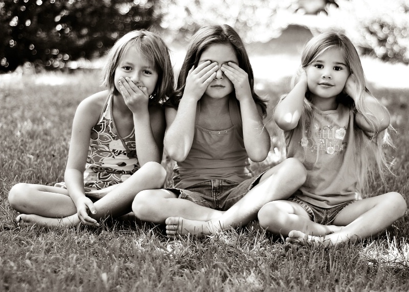 3 monkeys