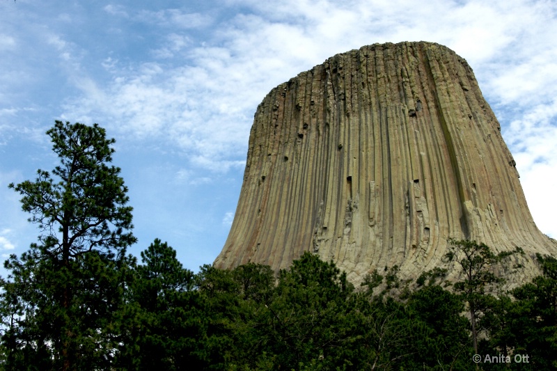 Devil's Tower