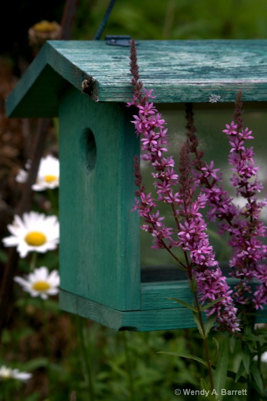 Bee feeder - ID: 10549570 © Wendy A. Barrett