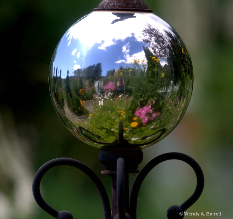 Shooting garden reflections - ID: 10549703 © Wendy A. Barrett