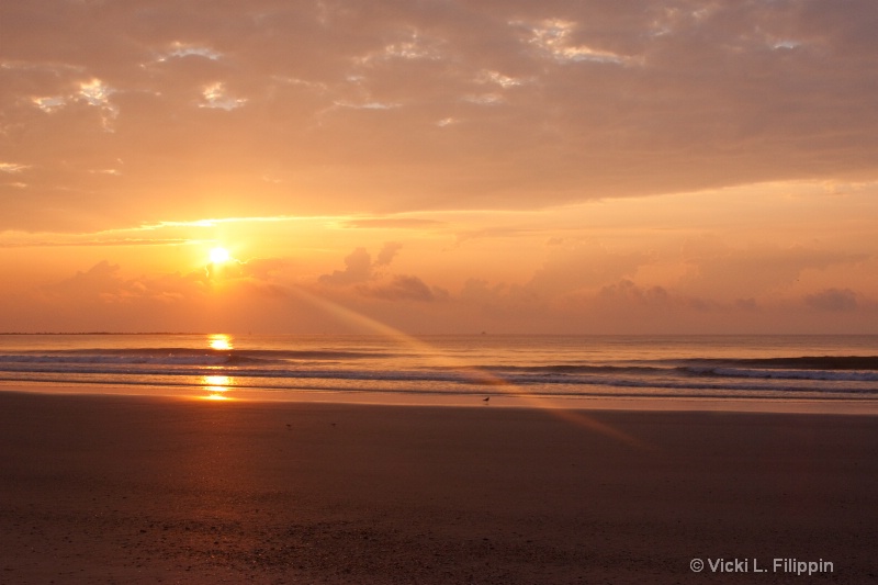 Sunrise at Mayport