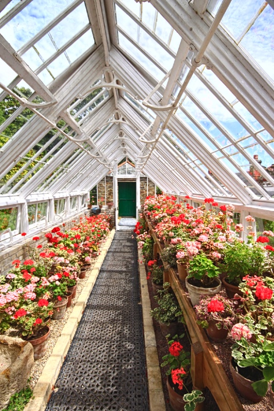 The greenhouse.