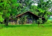 Magical Barn