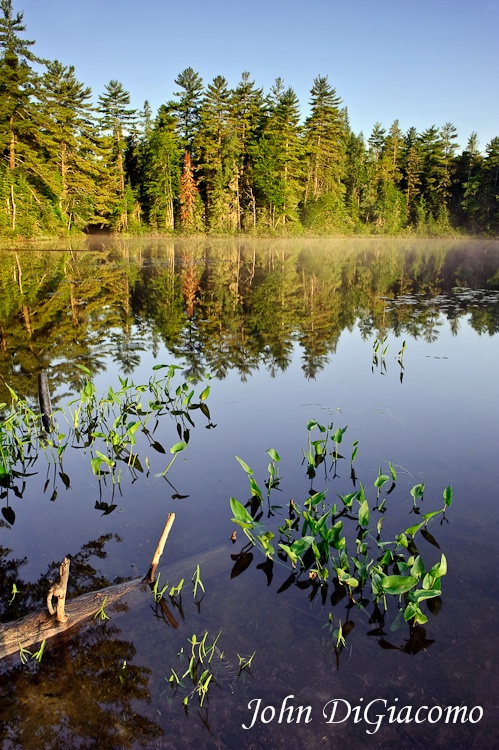 Osgood Pond