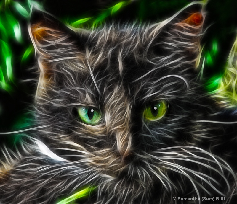 Green-Eyed Lady