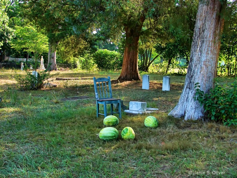 Saturday Morning in the Graveyard