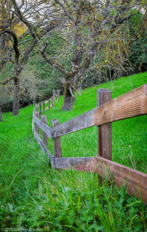 Fence line