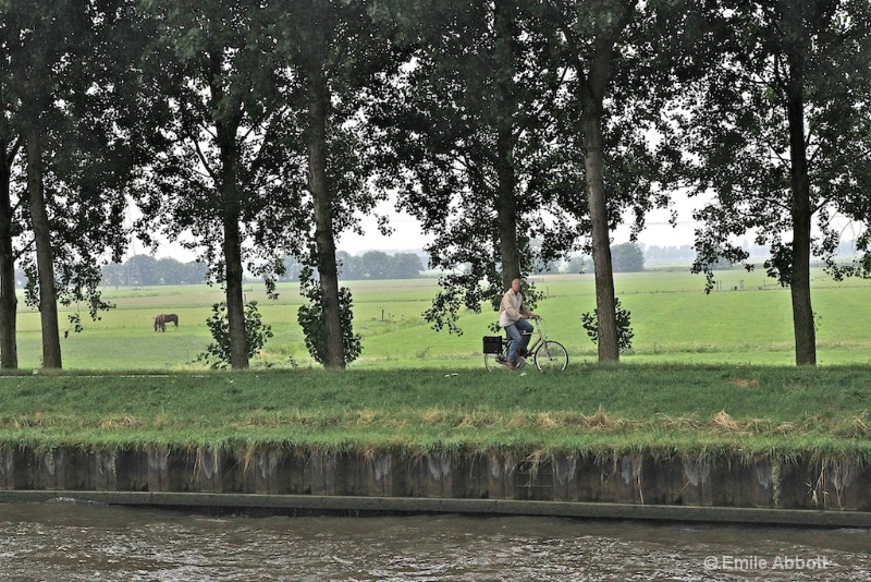 Bike rider and horses along the Kanaal route - ID: 10590516 © Emile Abbott