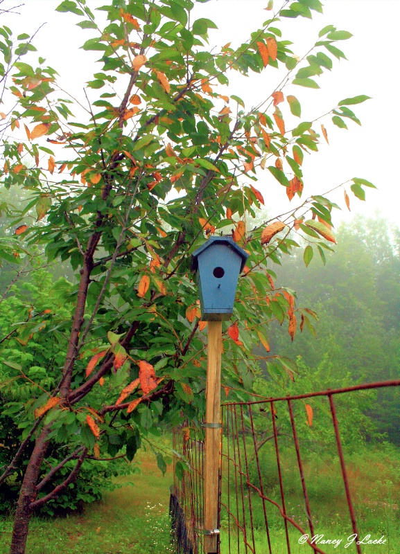 Country Birdhouse