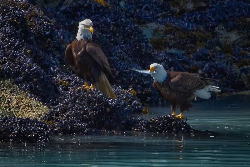 Grabbing lunch