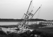 Low Tide