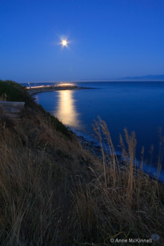 Clover Point Moonlight