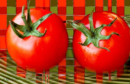 Vine Tomatoes