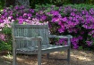 Come sit for a Sp...