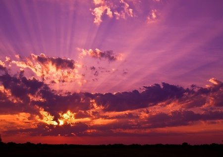 Sun-Ray