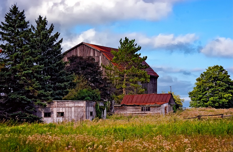 August Afternoon 