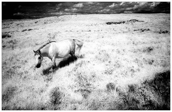 Connemara Ireland (infrared) - ID: 10631522 © Glenn Affleck