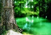 The Magical Swim ...