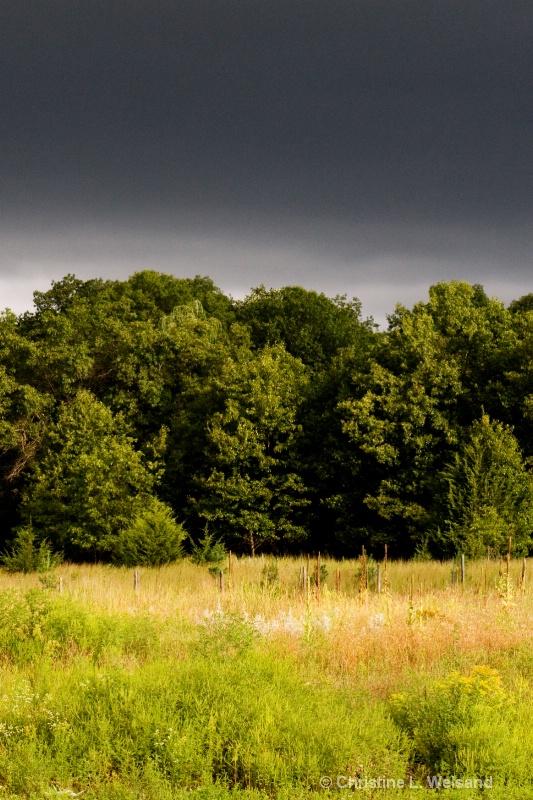 Dramatic Sky - this was taken in early afternoon j