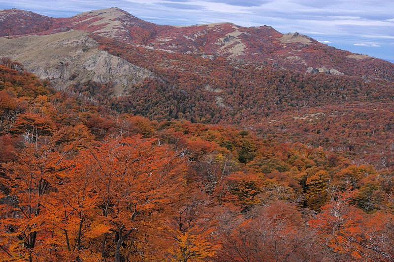 Autumn in Challhuaco valley