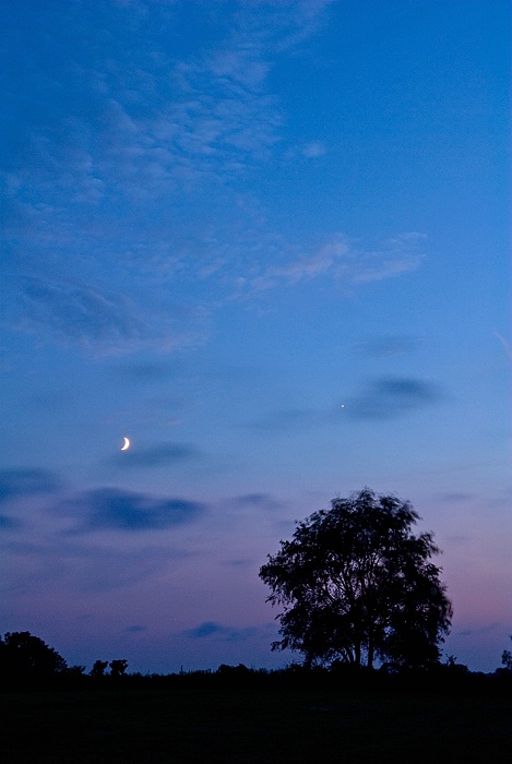 moon & venus