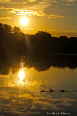 Delaware River - Good Light