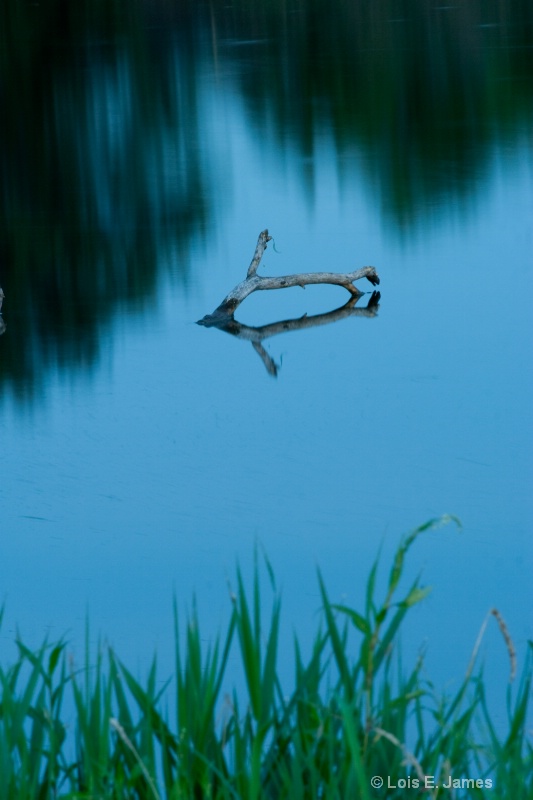 Telephoto lake reflection